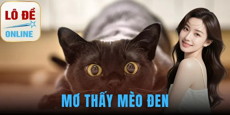 mơ thấy mèo đen