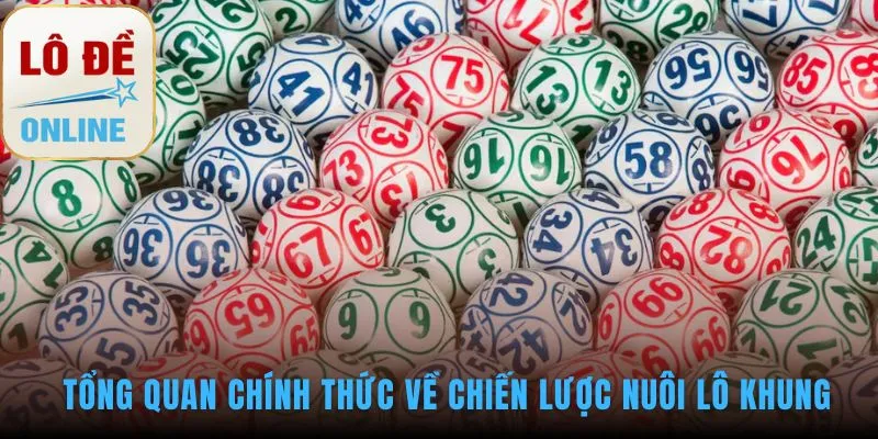 Chiến lược nuôi lô khung một kế hoạch tài chính có kỷ luật