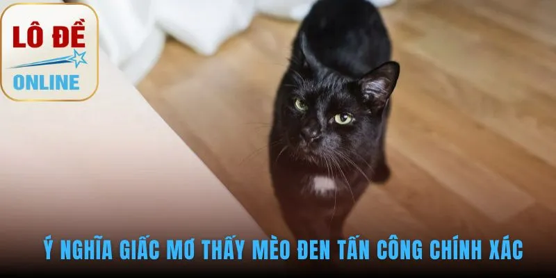 Mơ thấy mèo đen tấn công phản ánh xung đột nội tâm chưa giải quyết